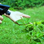 Ongediert-Kraaijtuin-150x150