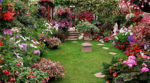 Zomer-kraaijtuin_bewerkt-1-300x167