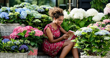 tuintips-kraaij-juli-384-x-202