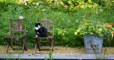 tuintips-kraaij-tuinseizoen-april-384-x-202