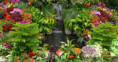 tuintips-kraaij-vijveronderhoud-april-384-x-202