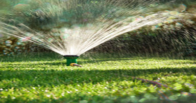 tuintips-kraaij-sproeien-in-augustus-384-x-202