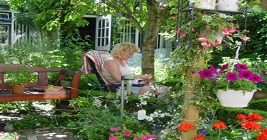 tuintips-kraaij-tuin-juni-384-x-202